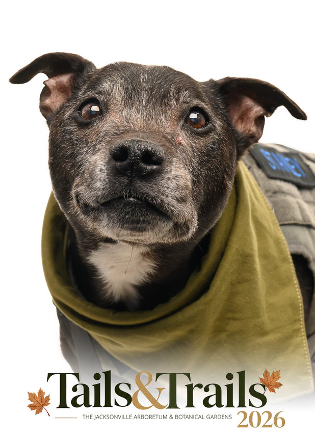Tails and Trails 2026 dog portrait