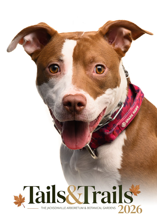 Tails and Trails 2026 dog portrait