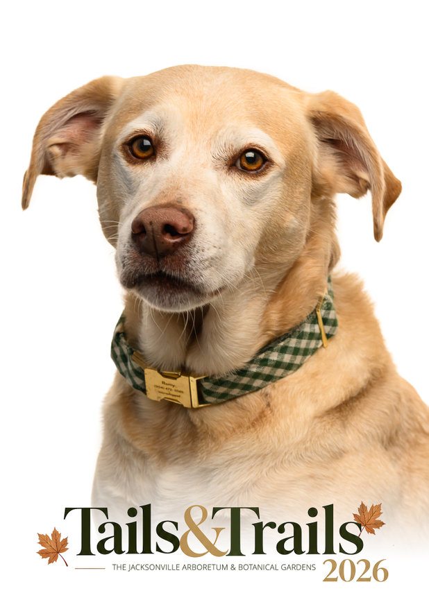 Tails and Trails 2026 dog portrait