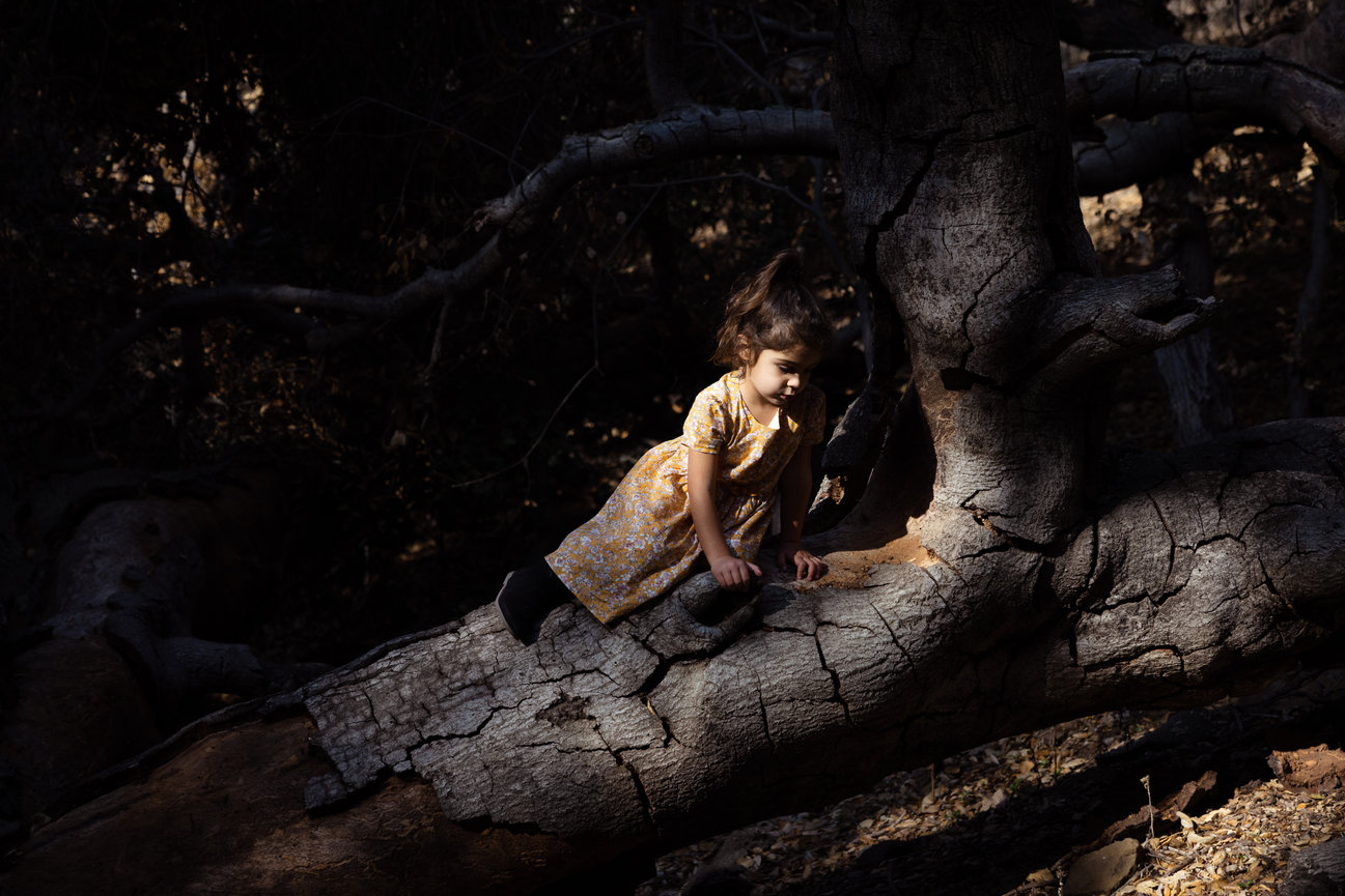 Photography that creates lasting brand imagery for small businesses and future generations.