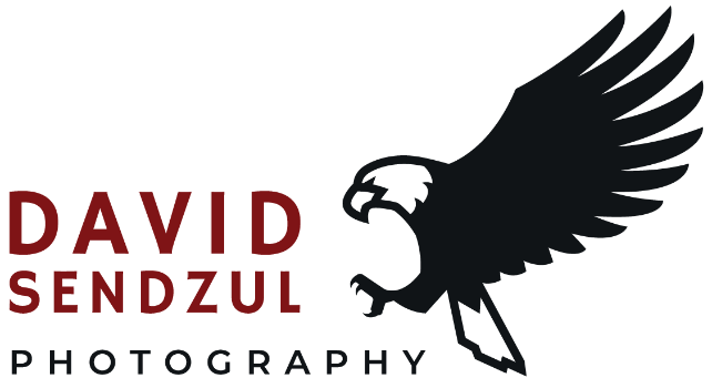 DAVID SENDZUL Logo