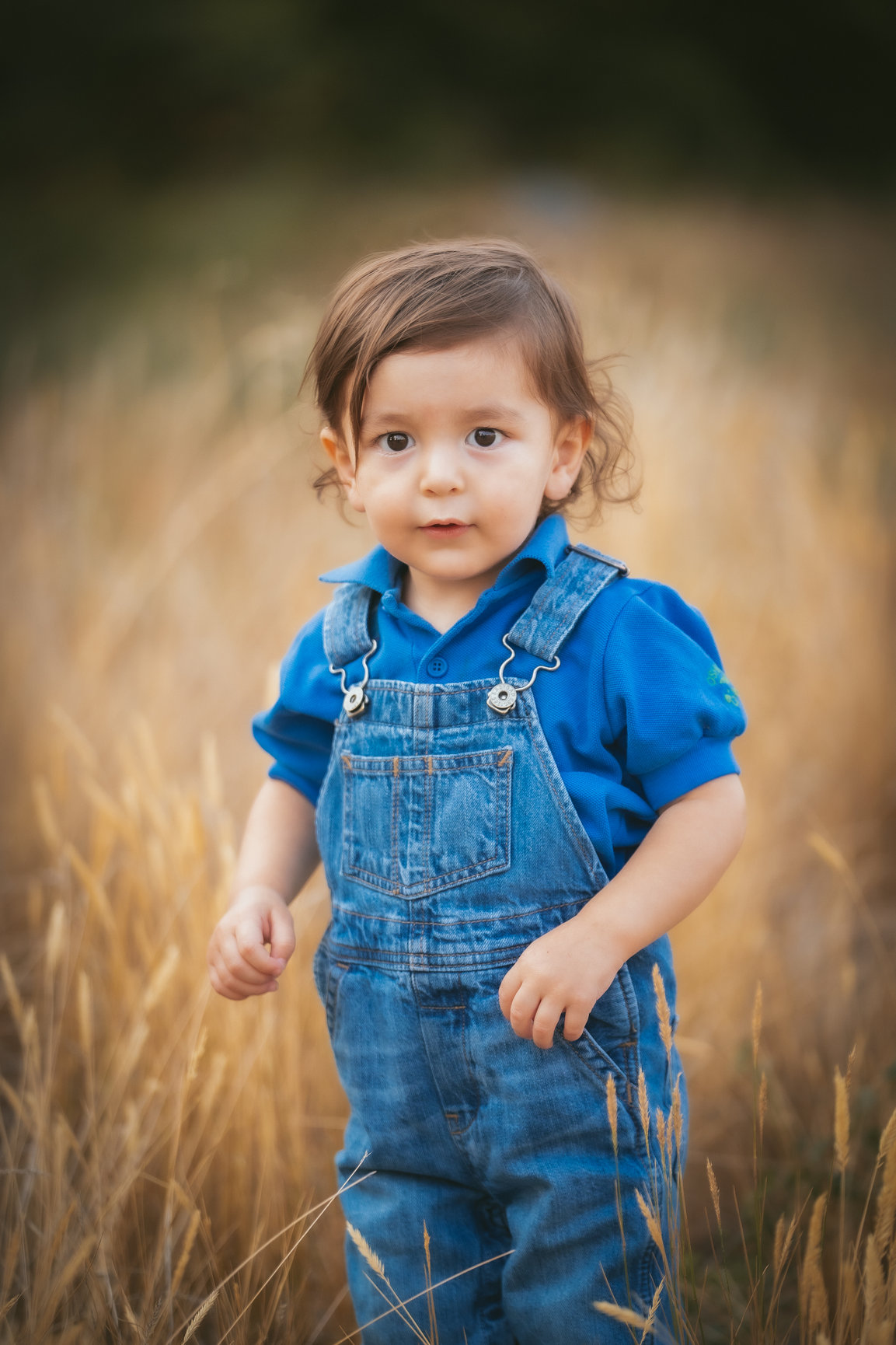 Quintero Family - Josh Petersen Photography