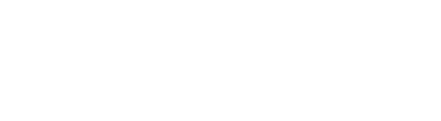 Denise Watrous Photography Logo