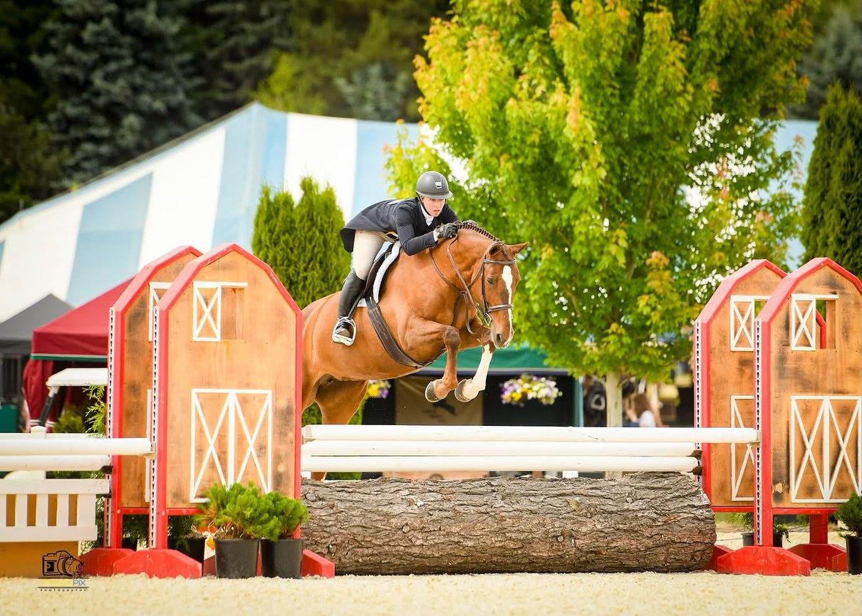 Horse and rider jumping an orange and white show jumping fence.