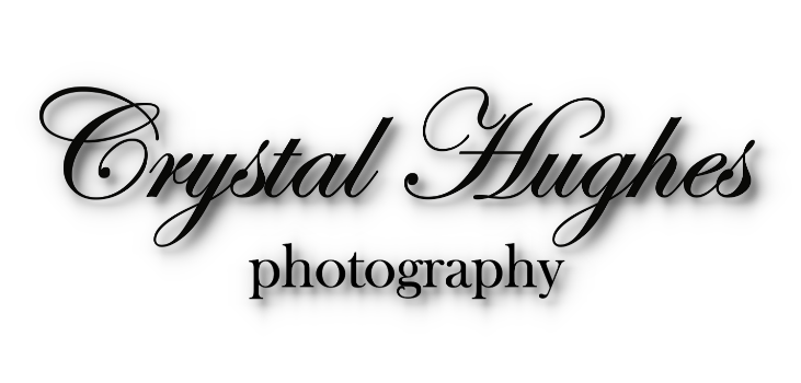 Crystal Hughes Logo