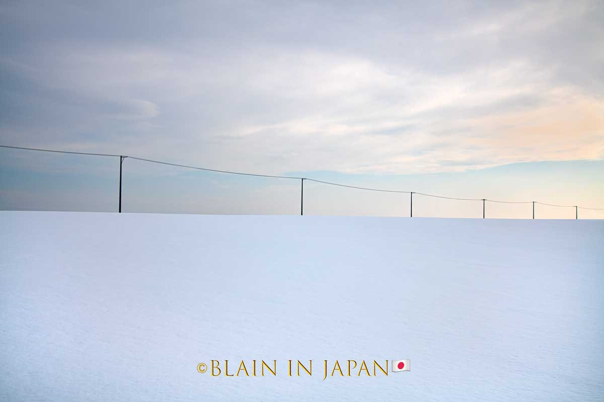 Hokkaido Birding Photography Workshop Tours - Blain Harasymiw Photography