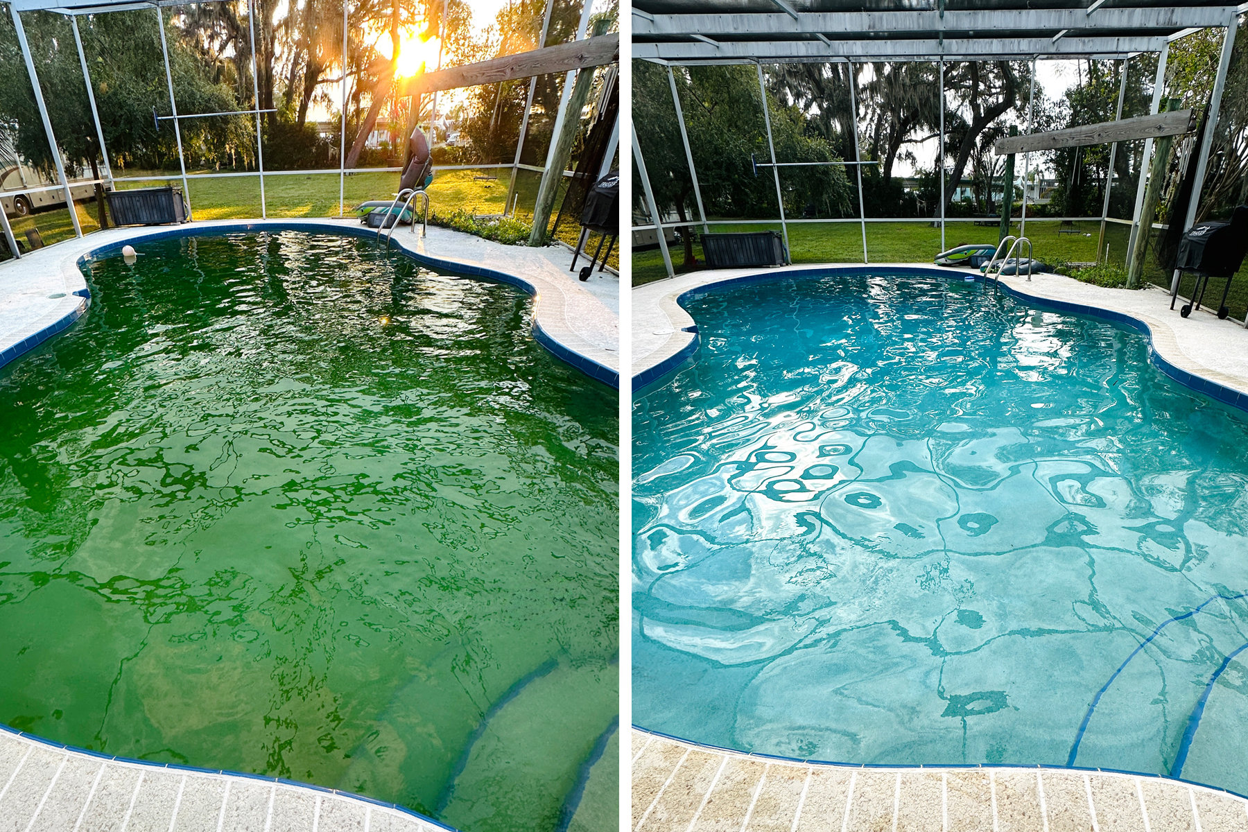 Green swimming pool before and after professional treatment