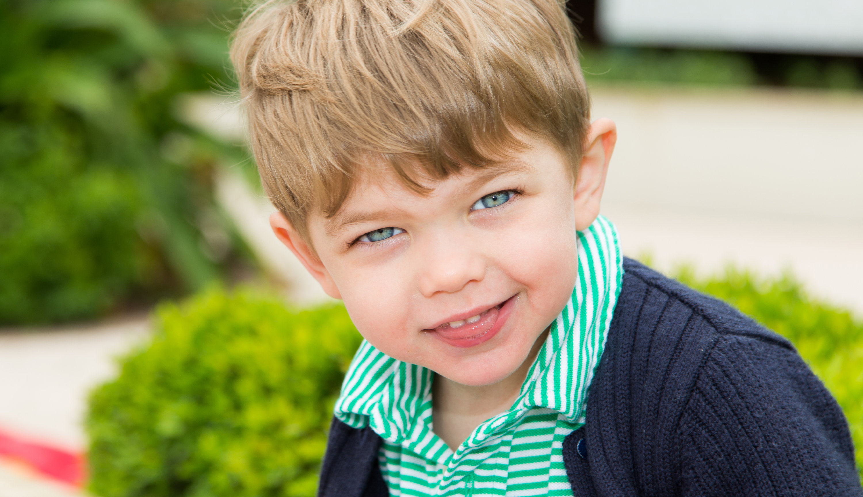 Home The Darkroom Photography