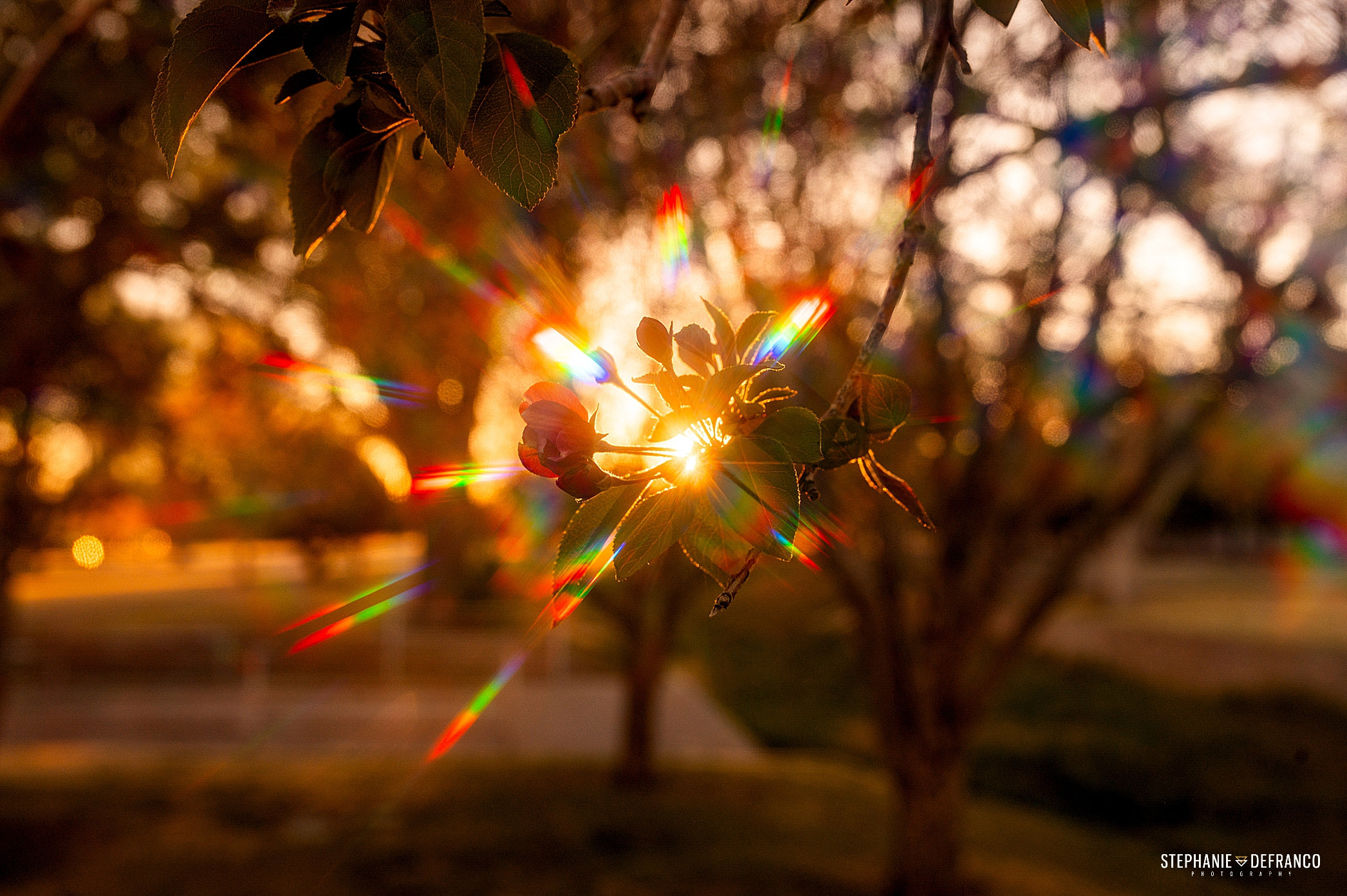 Fotografía creativa con efectos ile ilgili görsel
