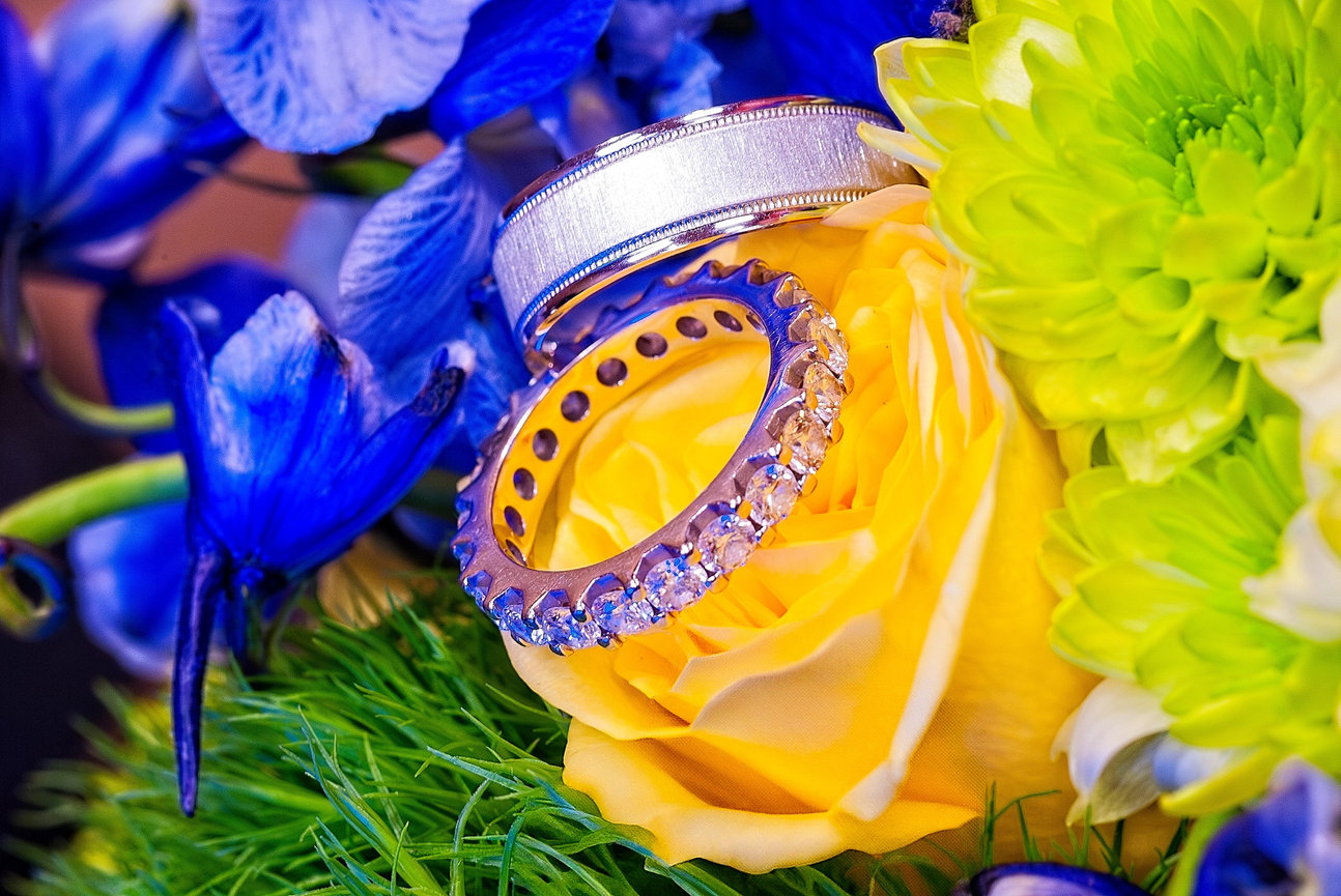 Close-up of two wedding rings resting on a vibrant yellow rose, surrounded by vivid blue flowers and green foliage.
