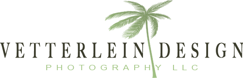 VetterleinDesignPhotography, LLC Logo