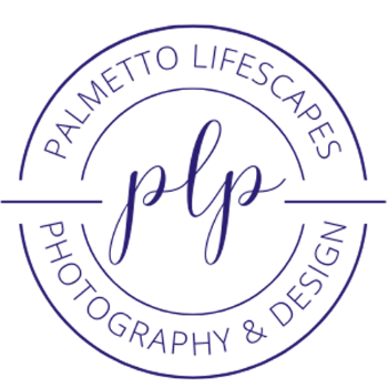 Palmetto LifeScapes Photography Logo