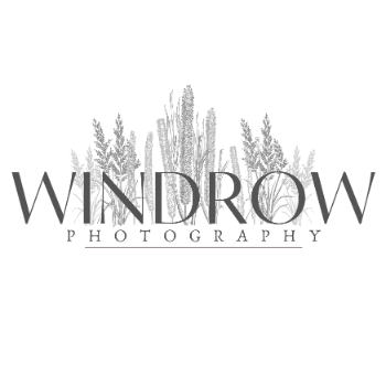Windrow Photography Logo
