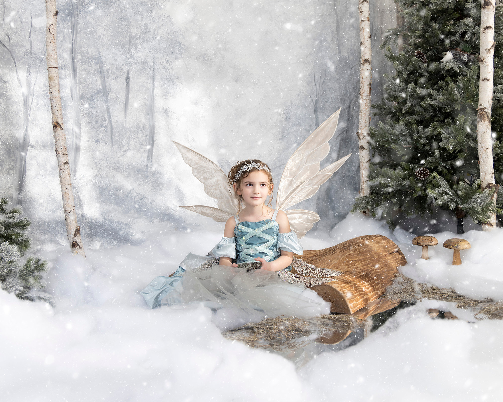 WINTER FAIRY GALLERY Light Drawn Studios, Inc.