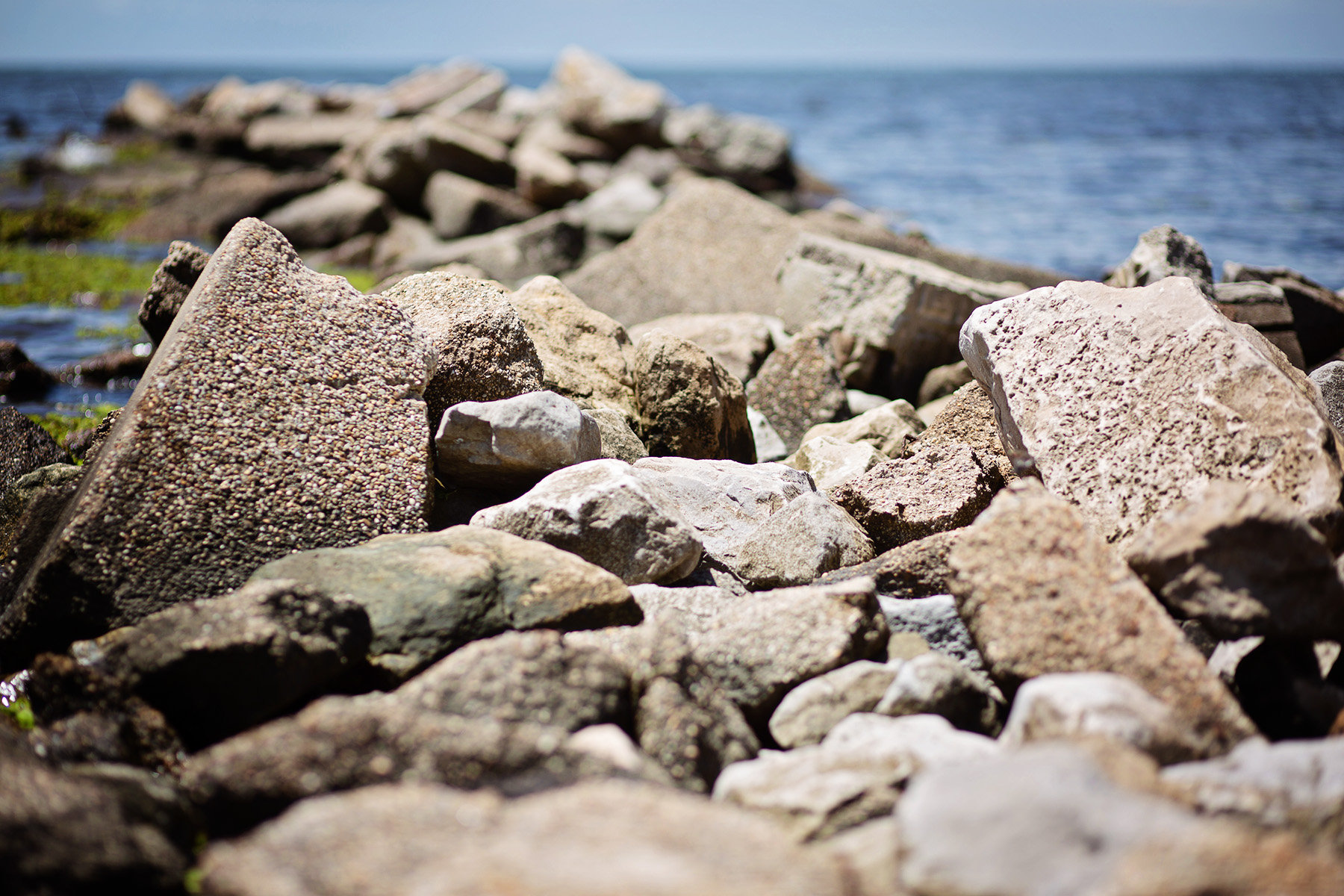 St. Amant, Louisiana Natural Light Photographer Fountainbleau State