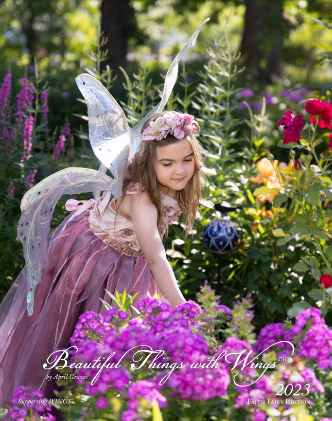 STORE Light Drawn Studios