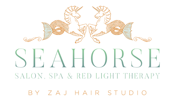 Zaj Hair Studio, Inc. Logo