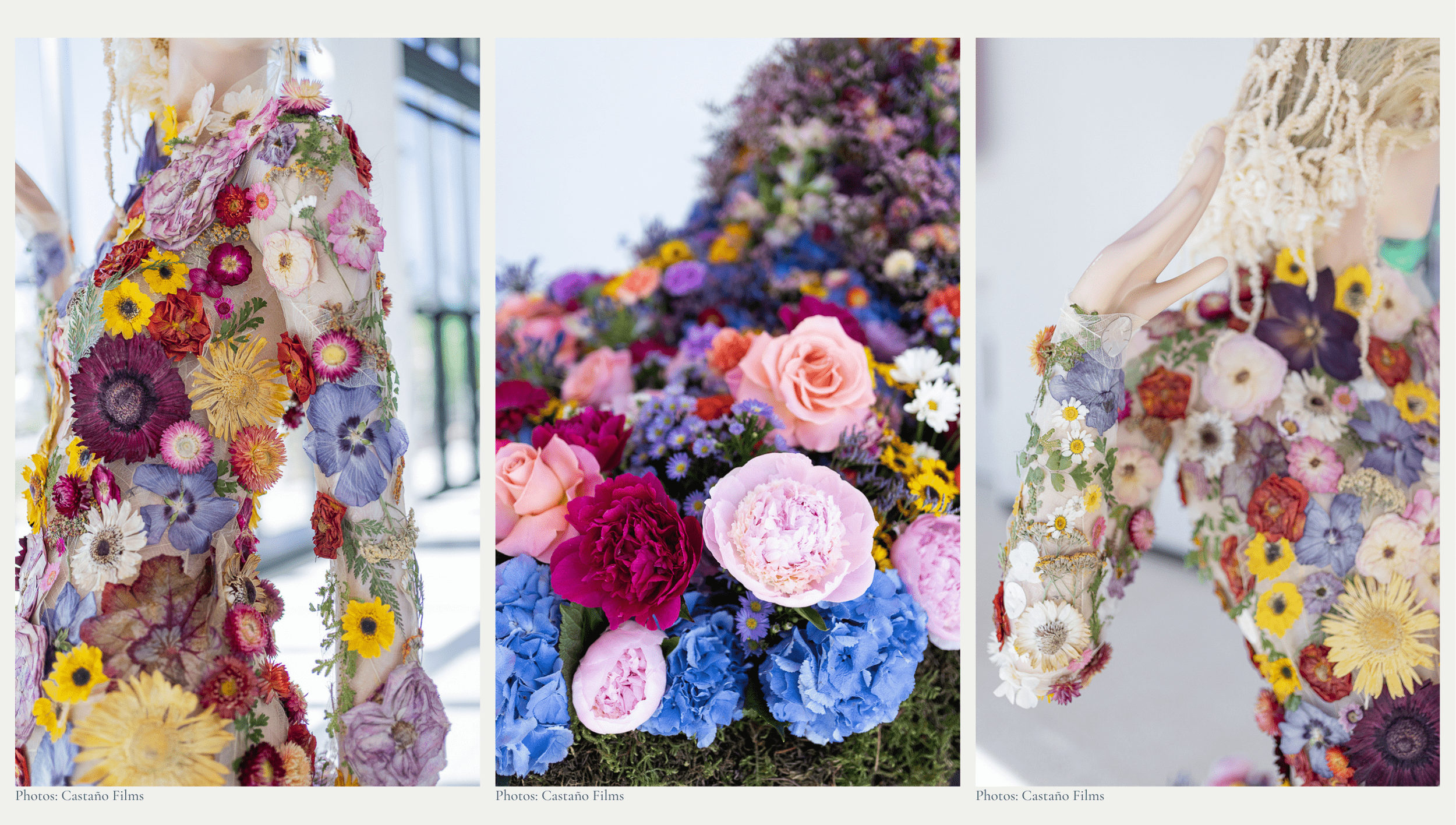 taylor swift floral dress designer Taylor Swift Grammy's Dress 2021  Look for Less  Chlo & Tell