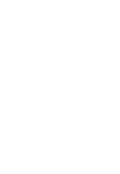 The Crystal Image, LLC Logo