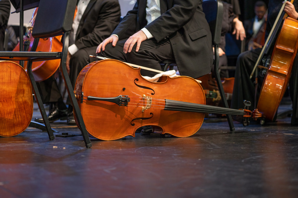 Violins of Hope Myrtle Beach, SC Greenville Spartanburg Boutique