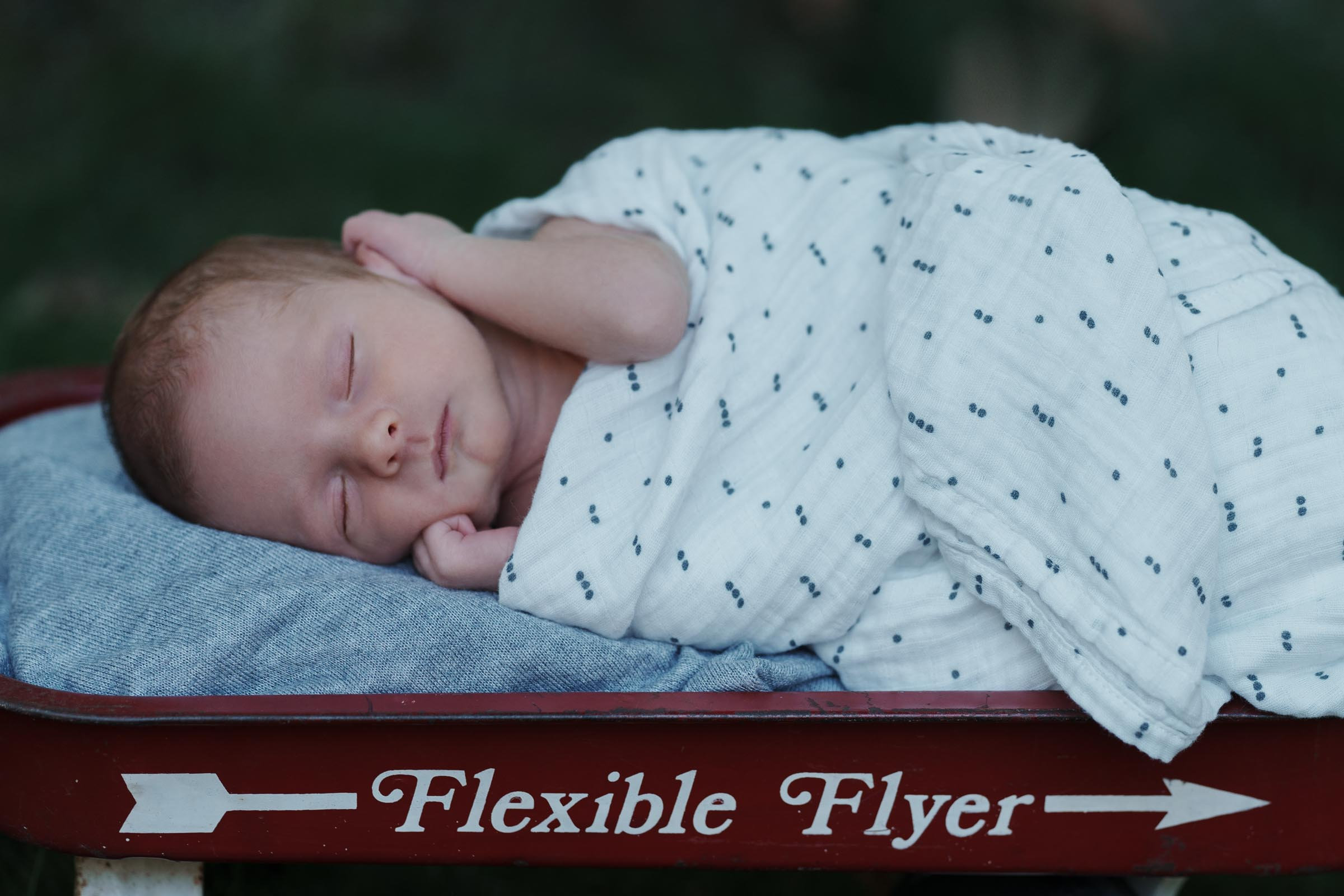 Newborn Portraits of Baby Meyer Cranberry Township and Mars Photographer
