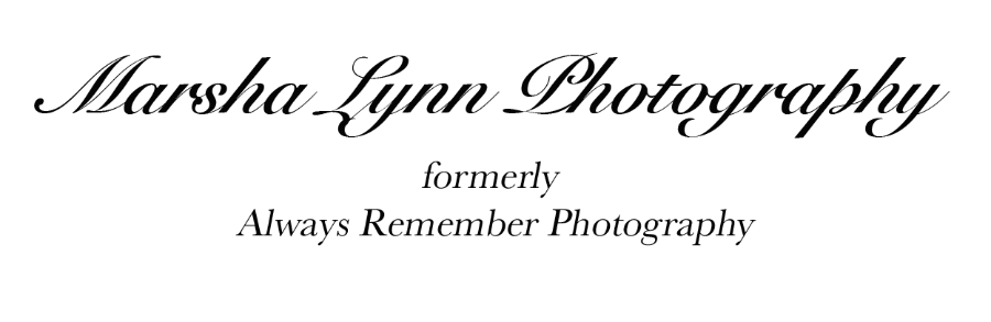 Marsha Lonchena Logo