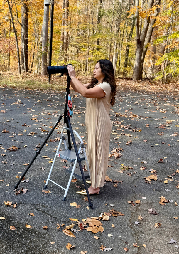 Jo Hayes Images Charlotte Event Portrait Fashion Branding Photographer in a cream dress stands on a step stool using a camera on a tripod in a leaf-covered, wooded area.