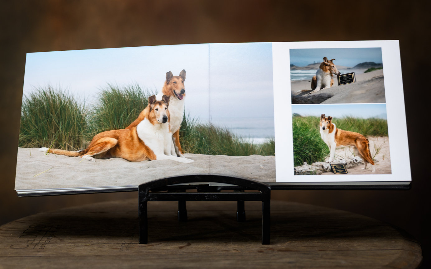 custom lay-flat pet photography album featuring collies photographed during a fall portrait session