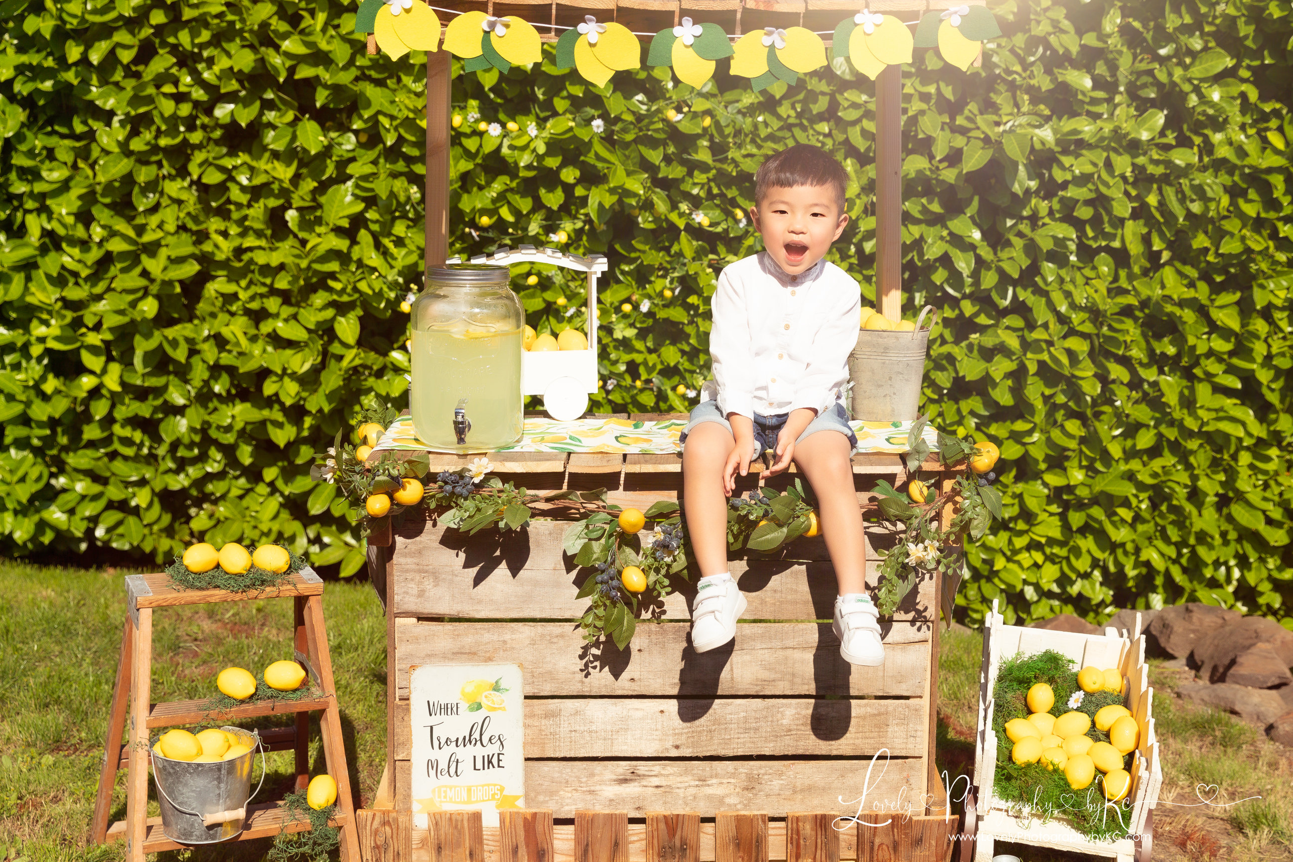 Lemonade Stand Family Portrait Photographer Wa