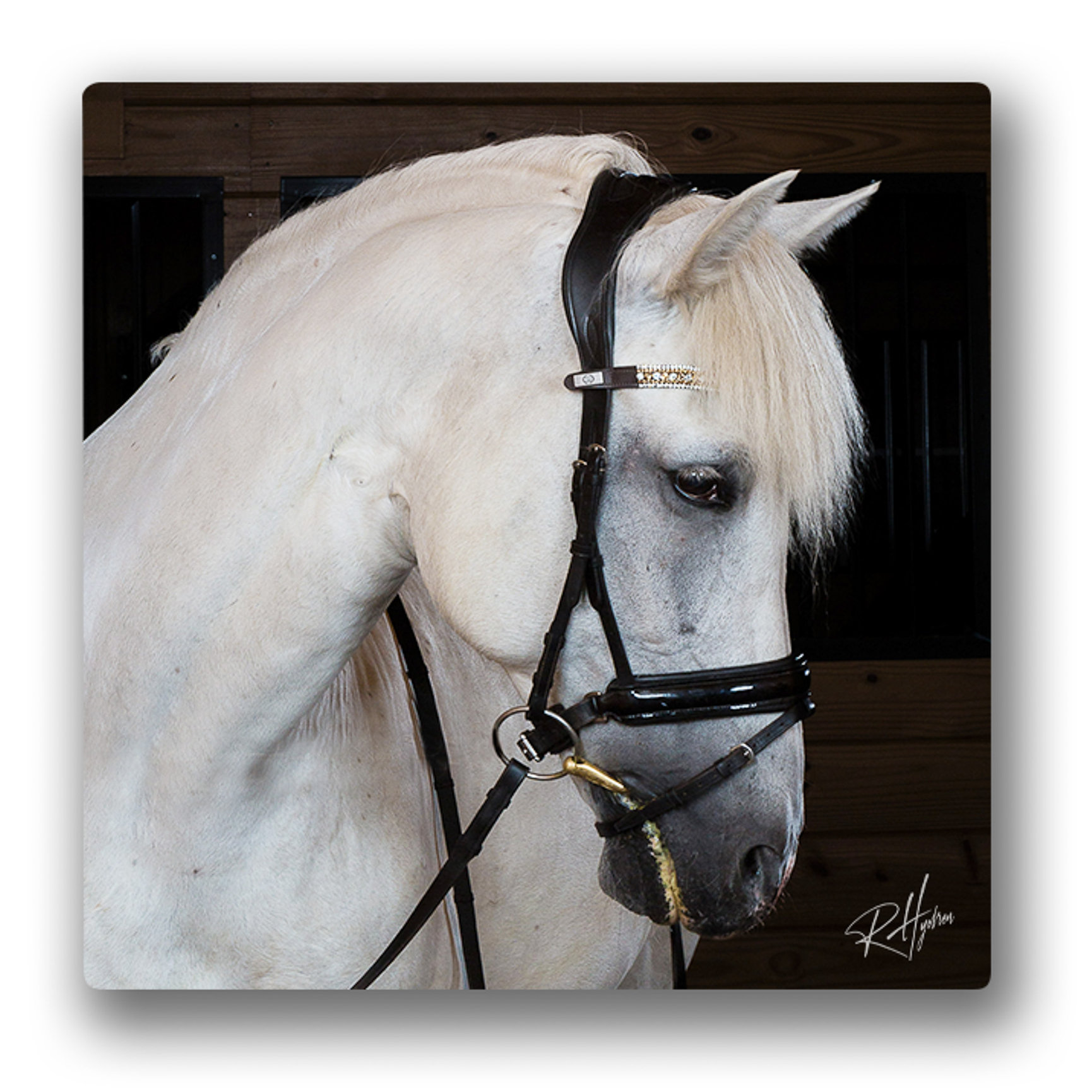 YakAttack 16x16 ShortStak Upgrade Kit for BlackPak Pro, Orange, image size:1730x1730