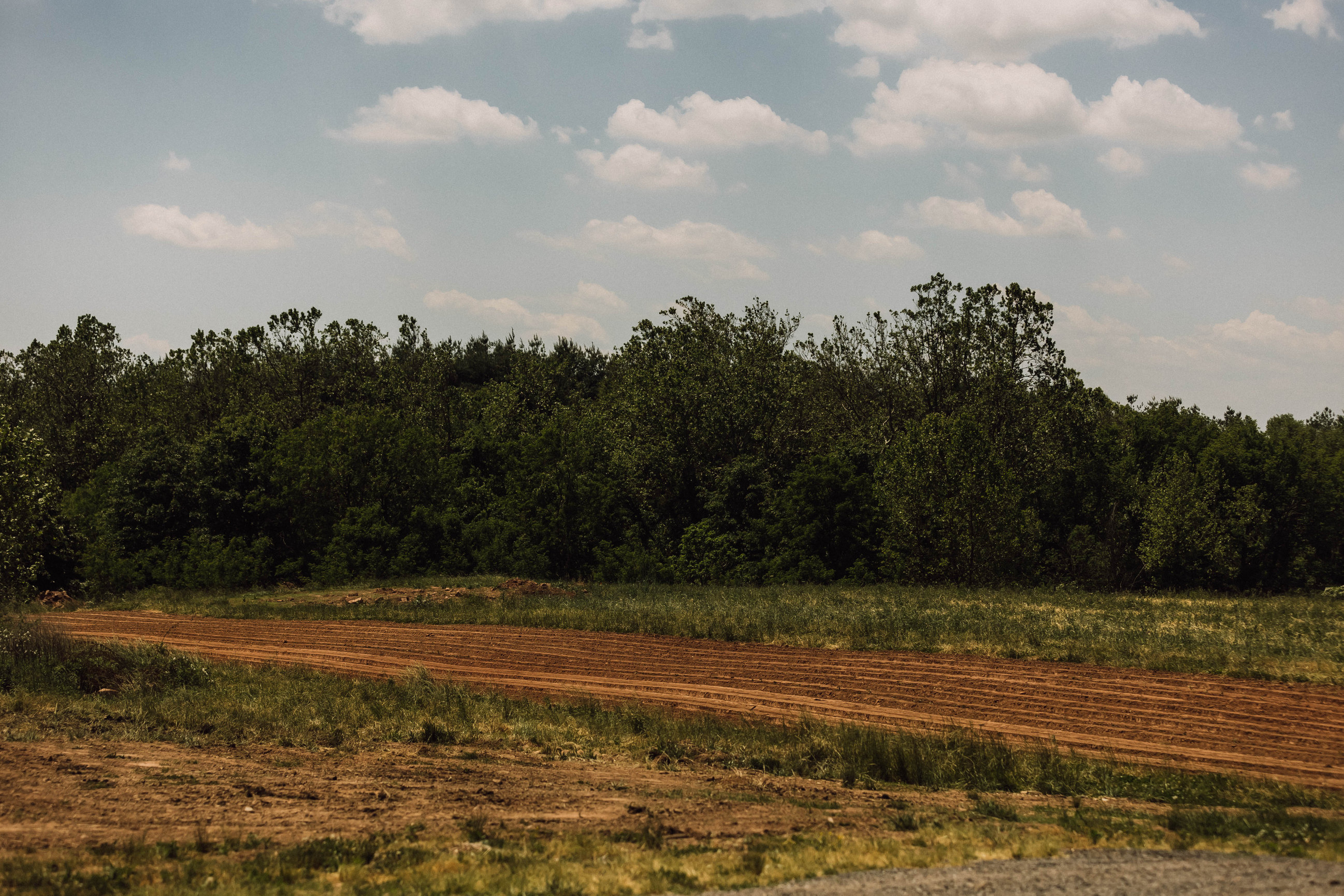 One Acre Farm - Maggie Martin Photography