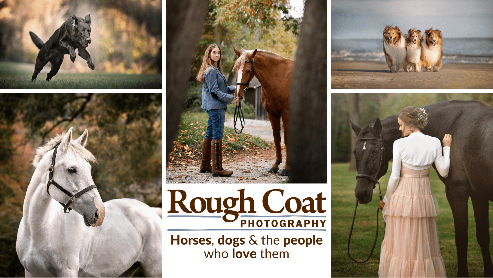 Is Rough Coat Photography the Right Fit? / 5 Reasons YES & NO Rough