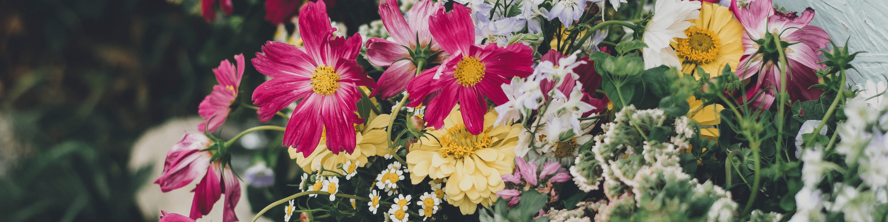 How to Plan an Elopement to Salmon, Idaho Idaho Wedding Photographer