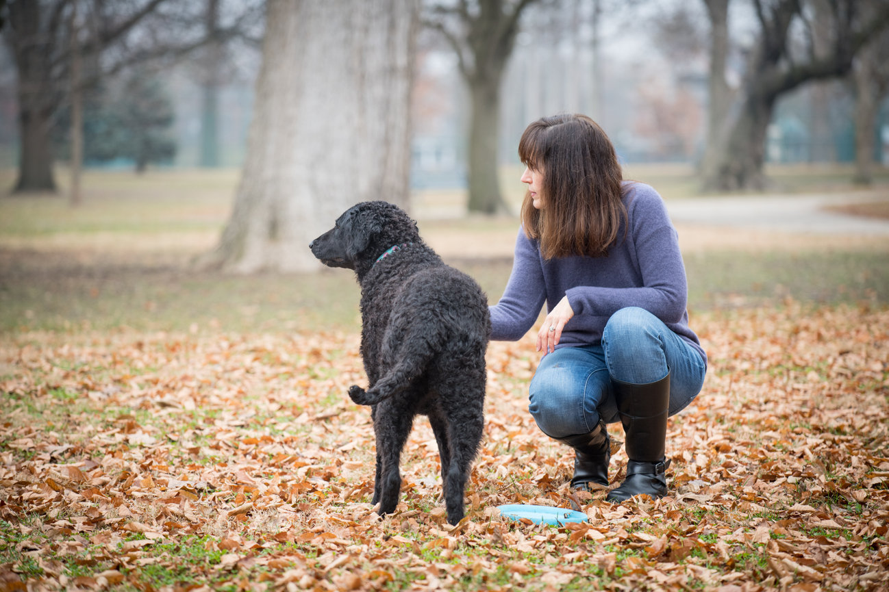 A woman and her dog stand side by side, overlooking a park after a game of frisbee. The frisbee lies nearby as they take in the view, their postures relaxed and content