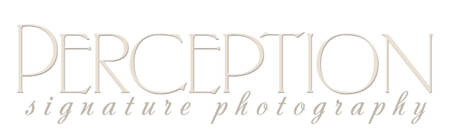 Perception Signature Photography Logo