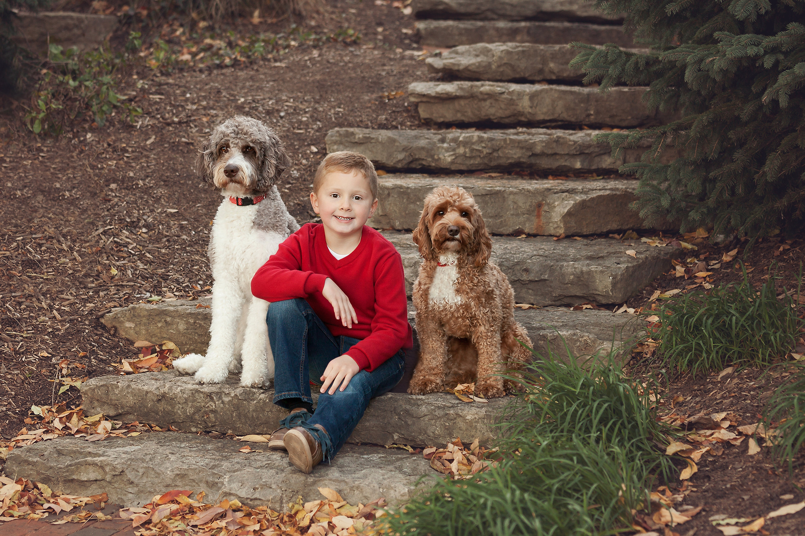 Craigslist Appleton Wisconsin Pets - p9n8ix2