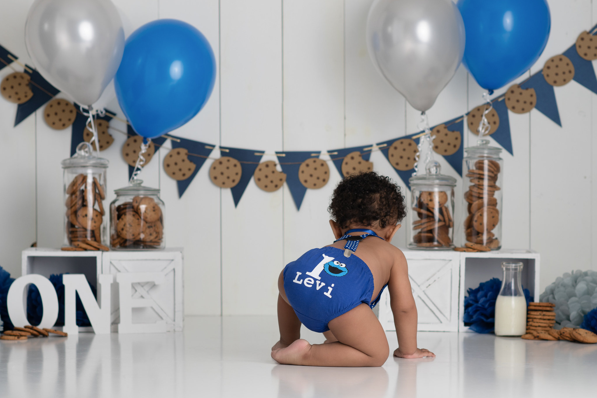 Cookie Monster Cake Smash Attleboro Photographer Jenee Cook Photography