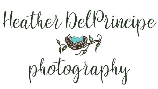 Heather DelPrincipe Logo