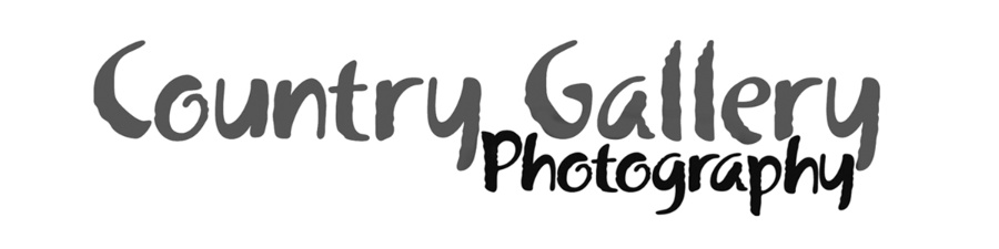 Country Gallery Logo