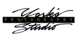 York's Photography Studio Logo