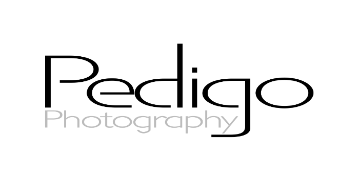 Pedigo Photography Logo