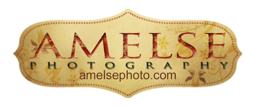 Amelse Photography Logo