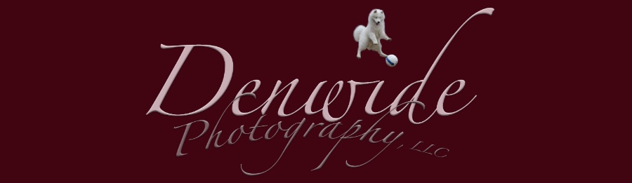 Denwide Photography, LLC Logo
