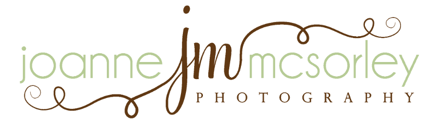 Joanne L Mcsorley Logo