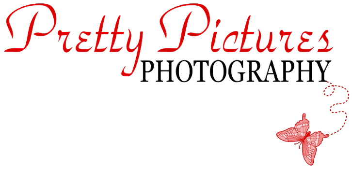 Pretty Pictures Photography Logo