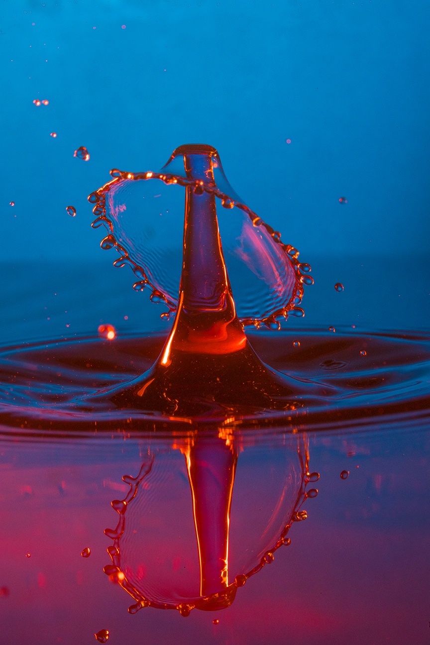 Water drops - Jim Zuckerman photography & photo tours