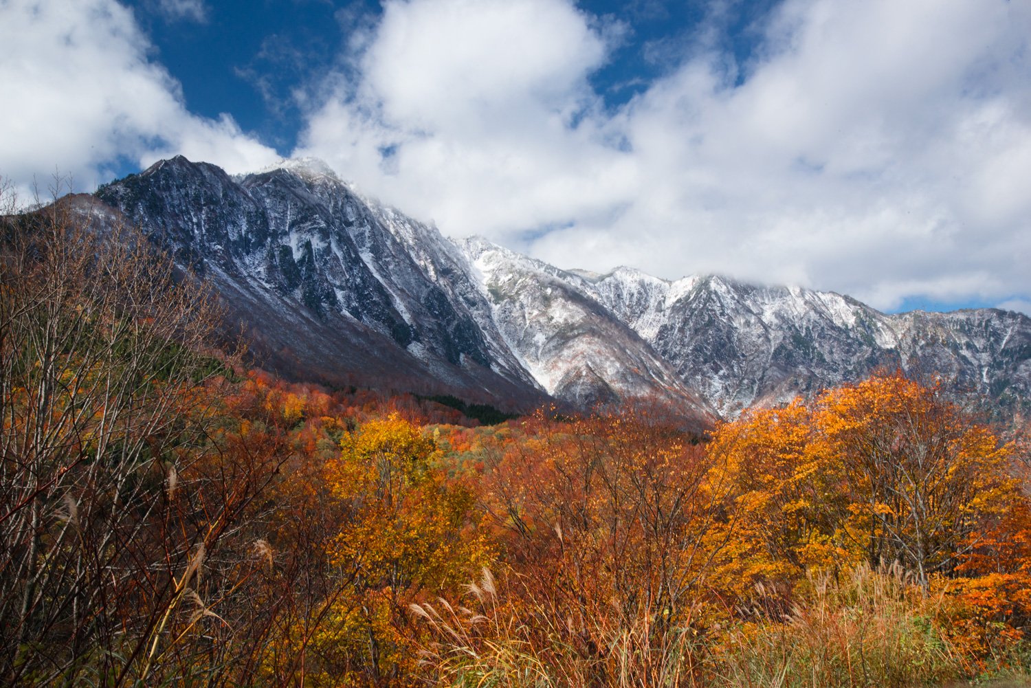 October 2023 Japan Autumn Leaves - Blain Harasymiw Photography