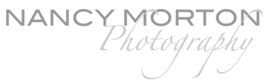 Nancy Morton Photography Logo