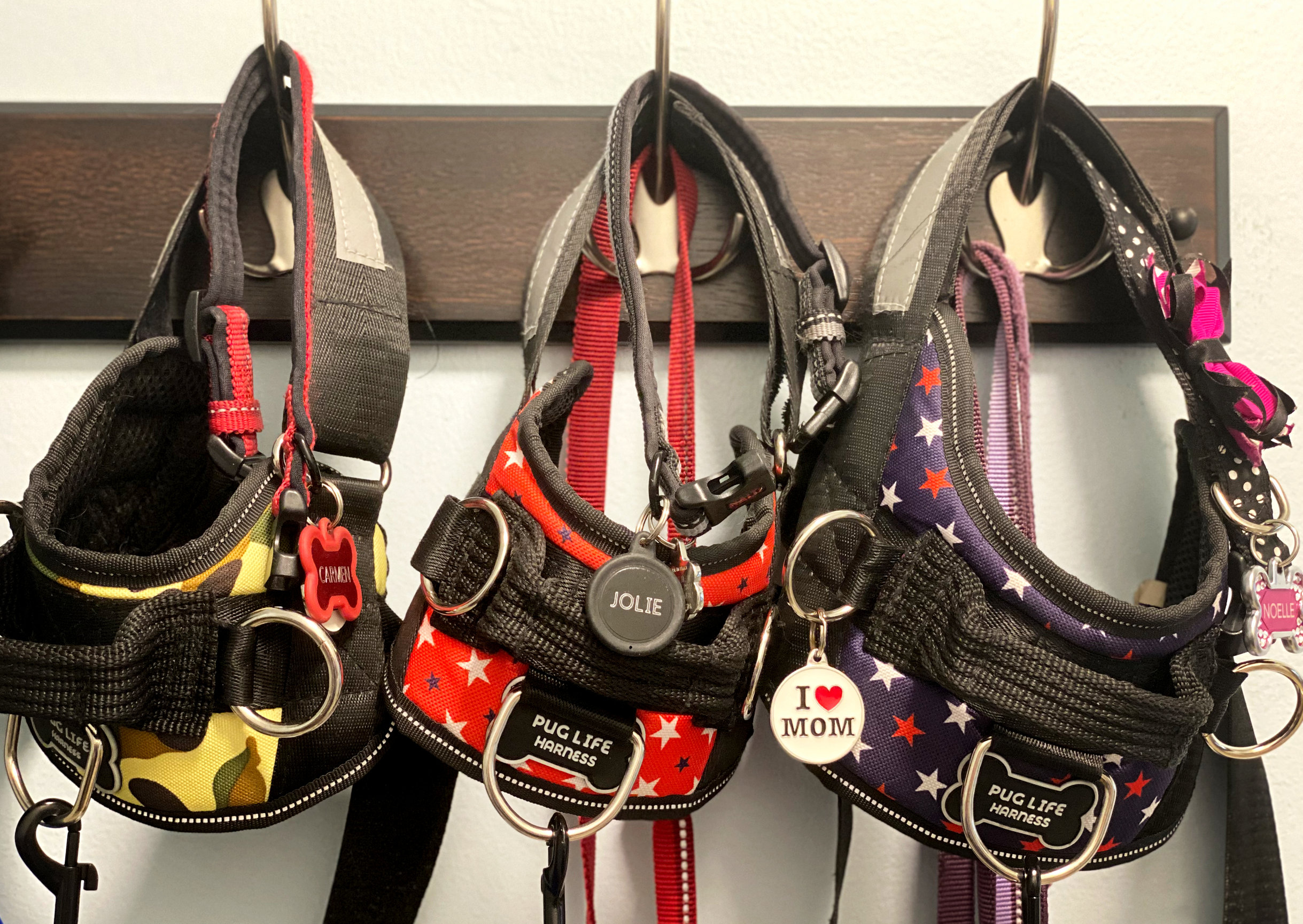 phone number for pug life harness